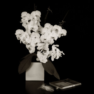 uno splendido esempio di still life